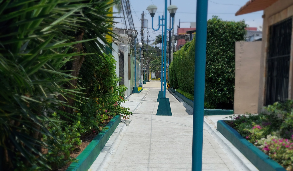 La mejor compañía a veces no es tan visible