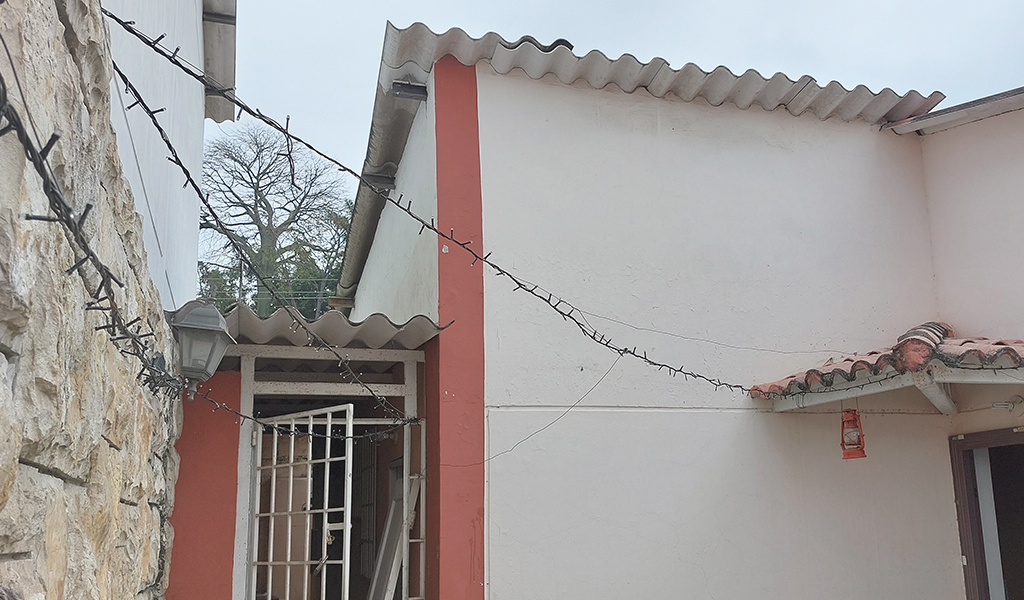 De Huerto a Tendedero a Reflexión